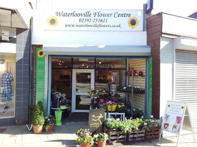 Waterlooville Flower Centre — florists in Fareham