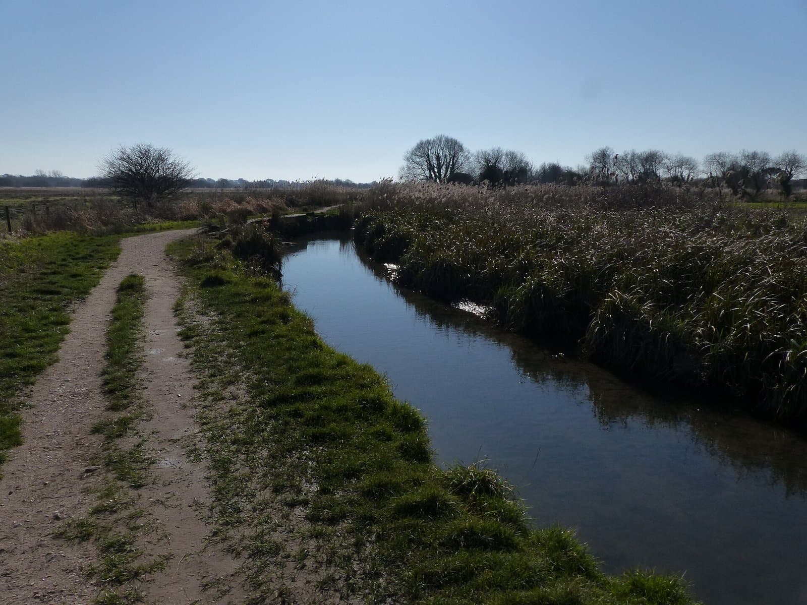 Footpath beside Titchfield Canal and reedbeds on a clear day, Titchfield, Fareham